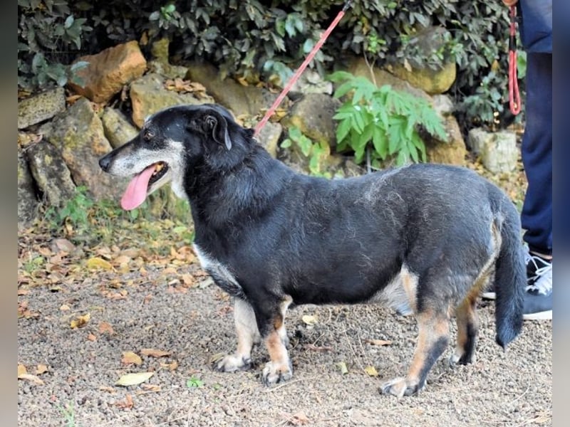Fonzy- Unikat sucht ebensolches - und Liebe!