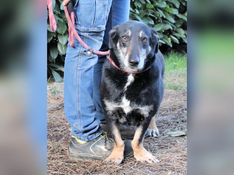 Fonzy- Unikat sucht ebensolches - und Liebe!