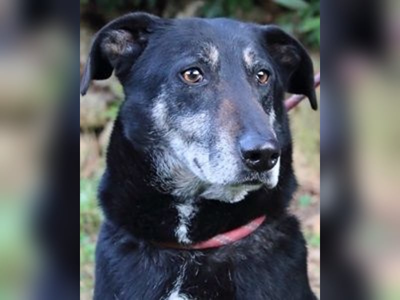 Fonzy- Unikat sucht ebensolches - und Liebe!