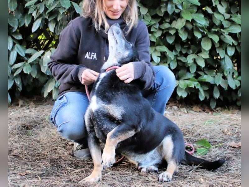 Fonzy- Unikat sucht ebensolches - und Liebe!