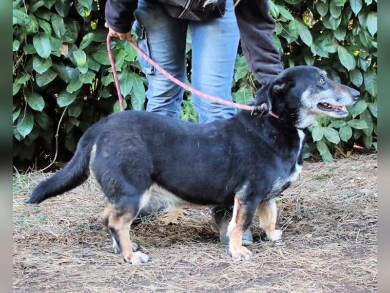 Fonzy- Unikat sucht ebensolches - und Liebe!