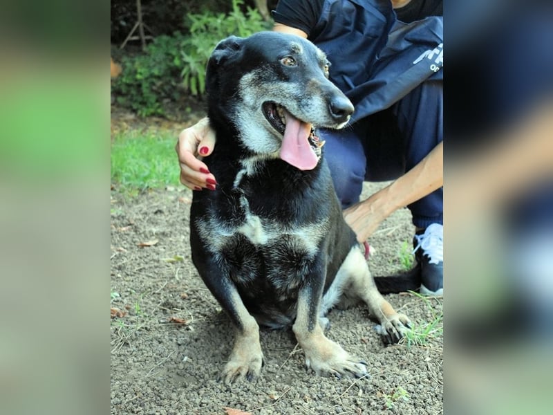 Fonzy- Unikat sucht ebensolches - und Liebe!