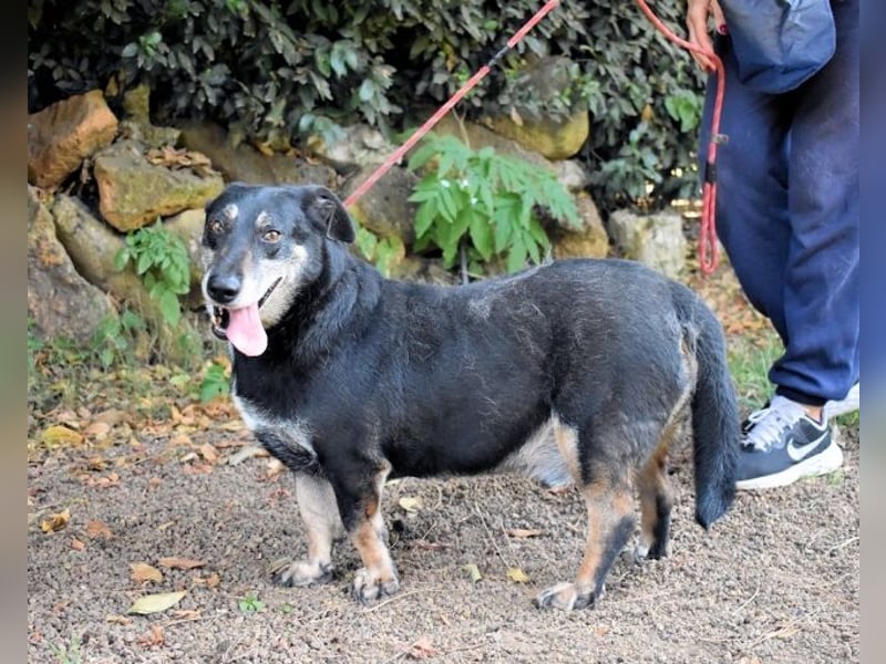 Fonzy- Unikat sucht ebensolches - und Liebe!