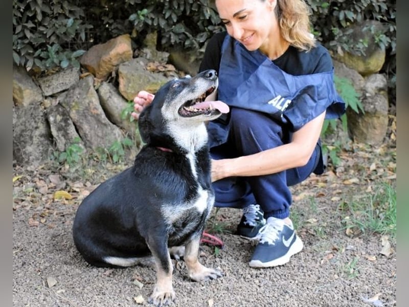 Fonzy- Unikat sucht ebensolches - und Liebe!