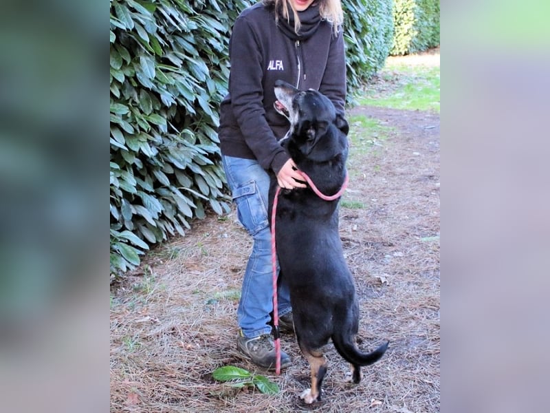 Fonzy- Unikat sucht ebensolches - und Liebe!