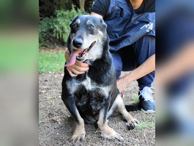 Fonzy- Unikat sucht ebensolches - und Liebe!