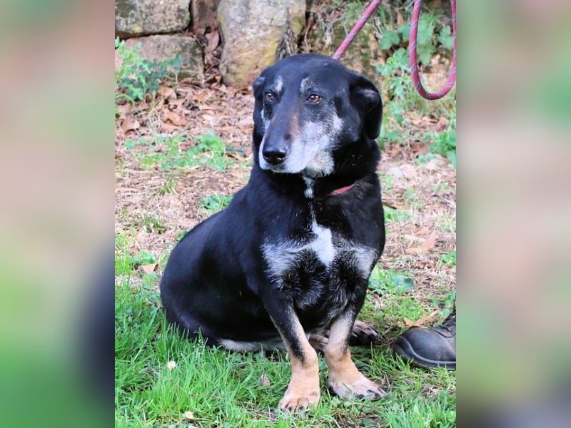 Fonzy- Unikat sucht ebensolches - und Liebe!