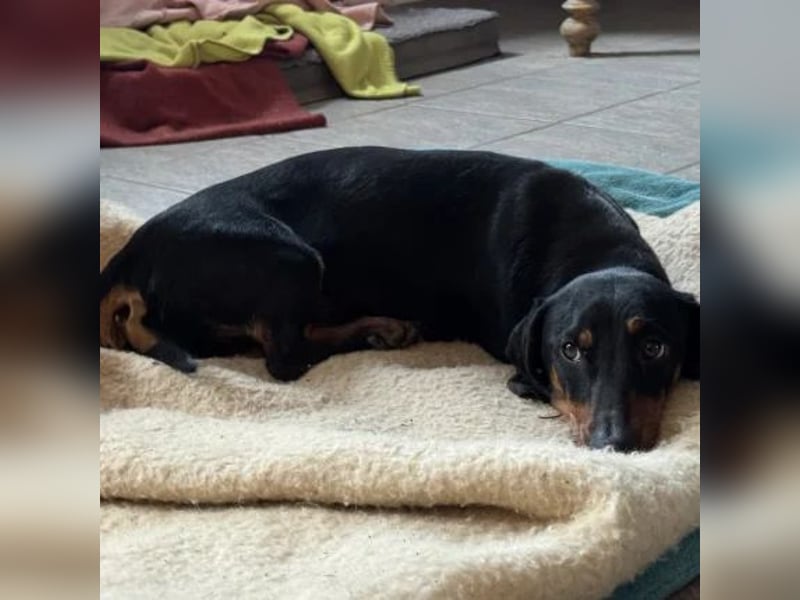 Mojo