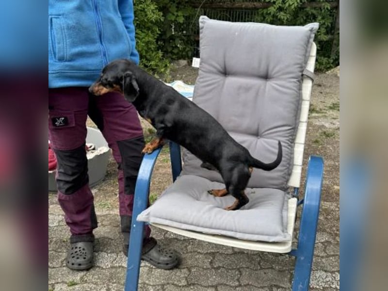 Mojo