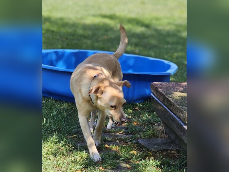 Winnie: kleiner Charmeur sucht dich!