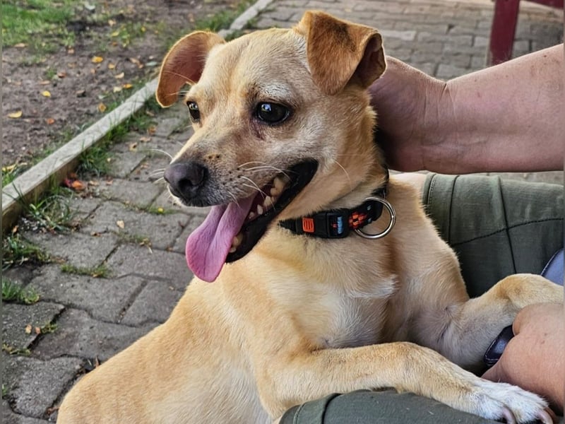 Winnie: kleiner Charmeur sucht dich!