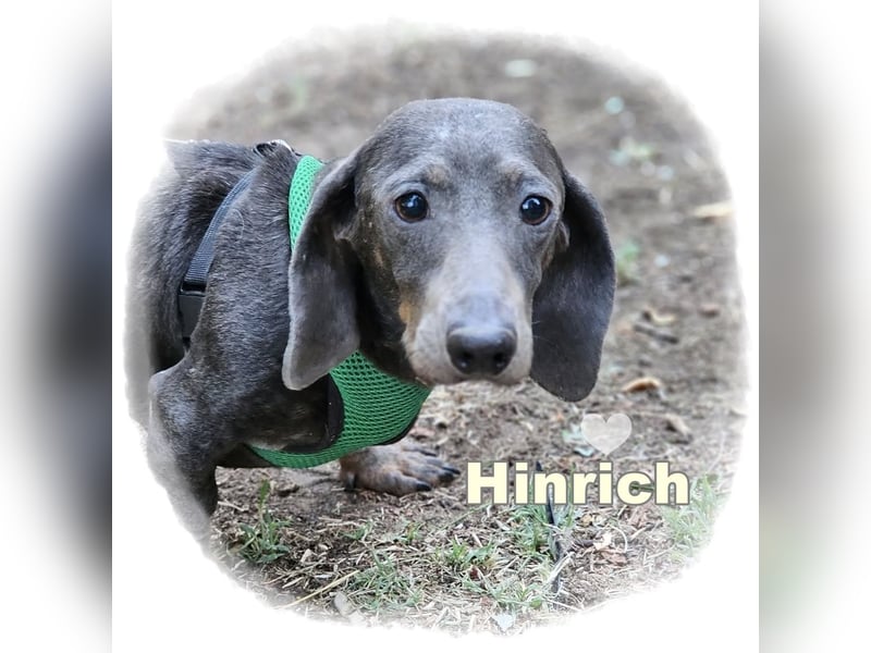 Hinrich kennt kein schönes Leben