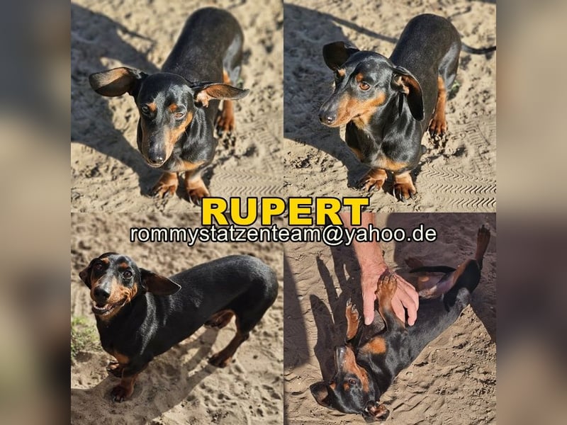 Rupert braucht Zeit Vertrauen aufzubauen