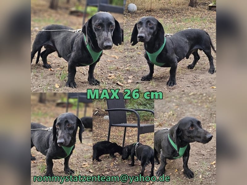 Max bisheriges Leben war nicht schön