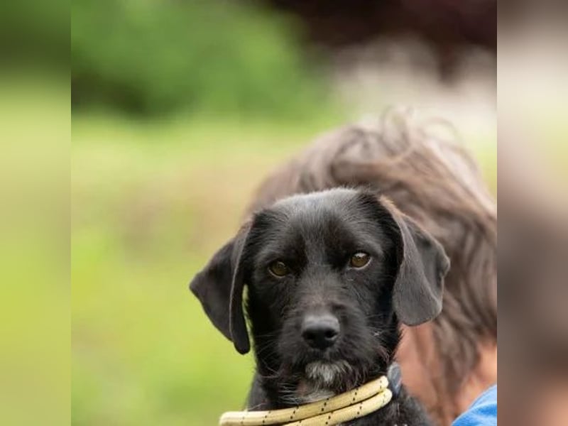 Onyx