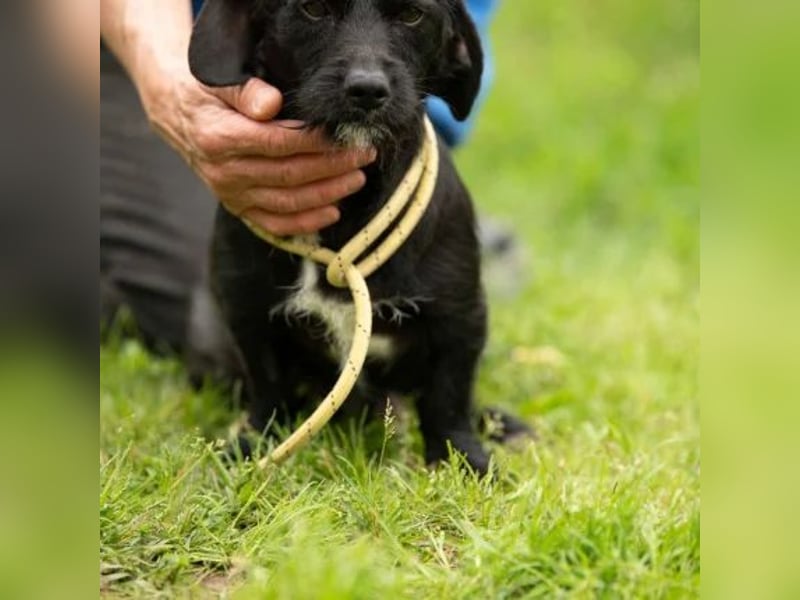 Onyx