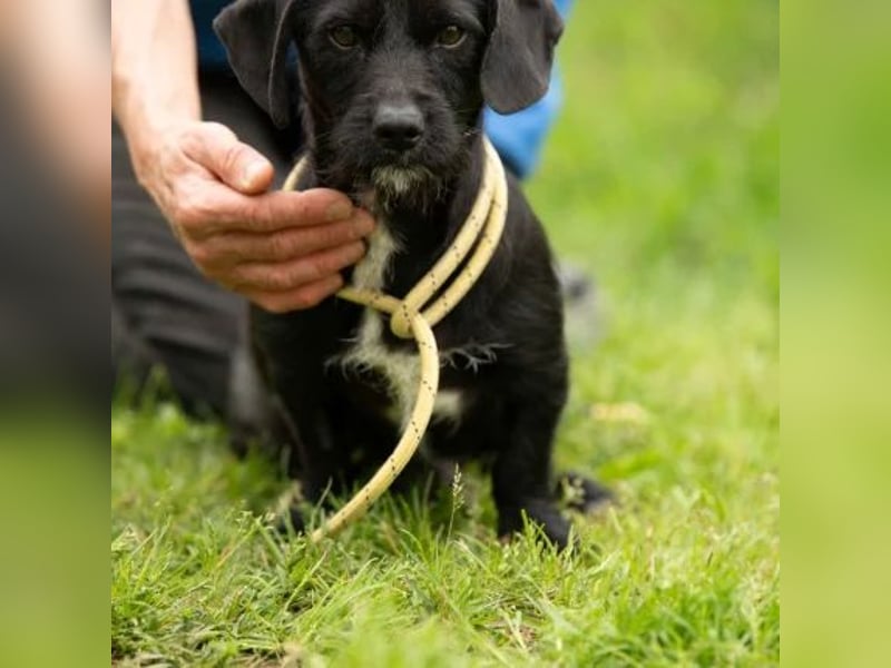 Onyx