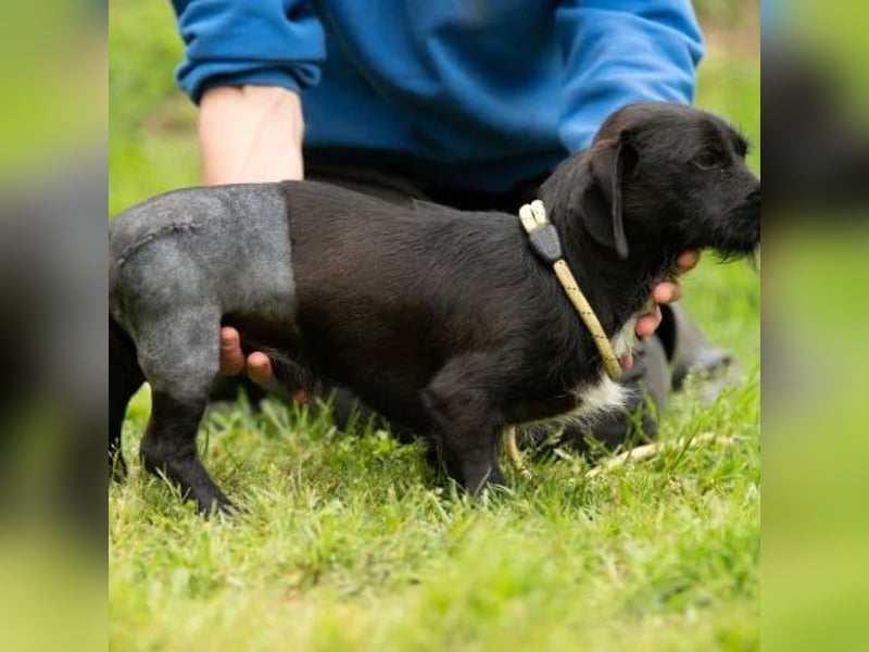 Onyx