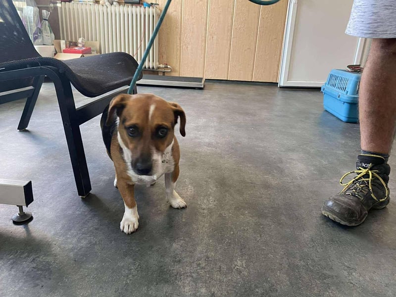 Rocky hat sein Zuhause verloren