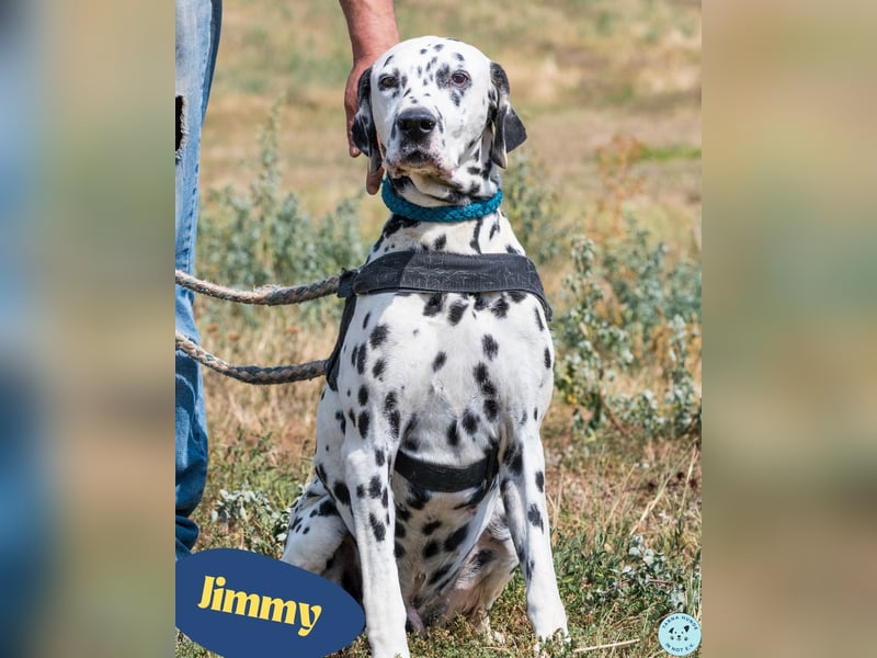 Jimmy SI, noch etwas unsicher