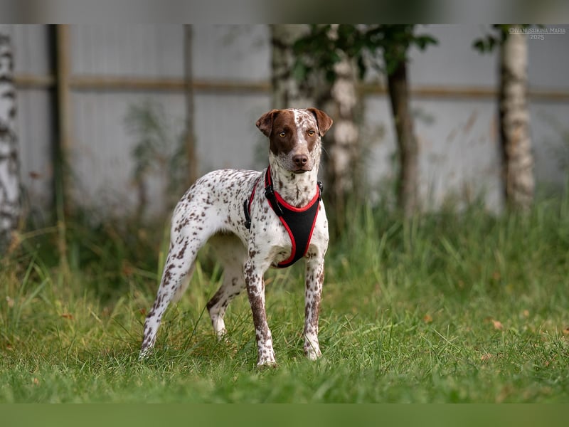 Zurückhaltende Kira sucht ihr Zuhause