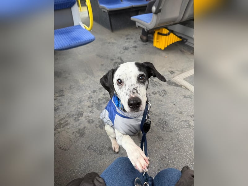 Damit Bella sich geborgen fühlt – ein Herzplatz ohne Einsamkeit