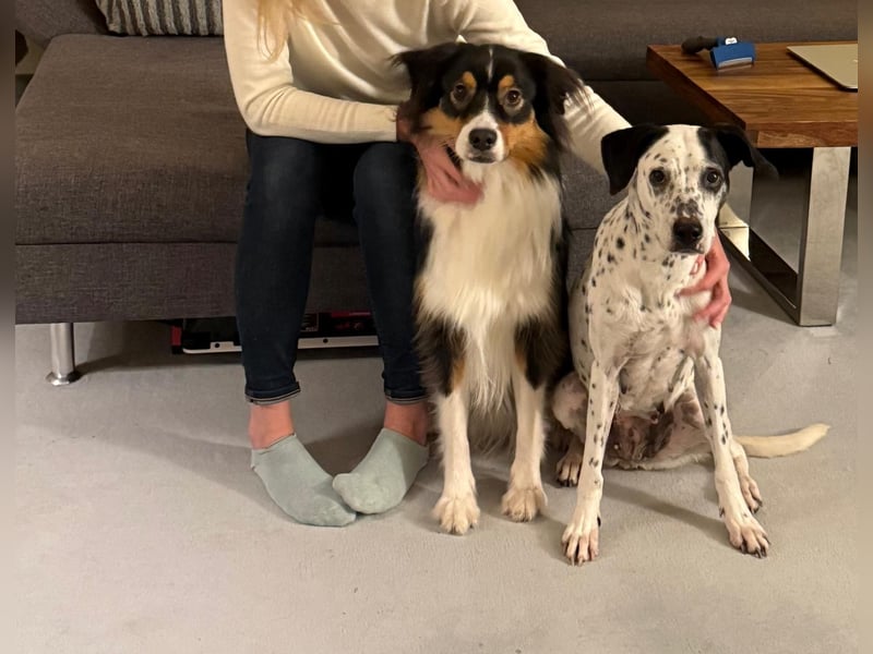 Damit Bella sich geborgen fühlt – ein Herzplatz ohne Einsamkeit