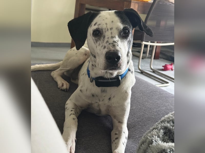 Damit Bella sich geborgen fühlt – ein Herzplatz ohne Einsamkeit