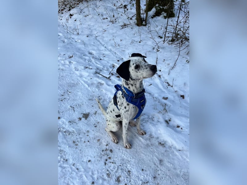 Damit Bella sich geborgen fühlt – ein Herzplatz ohne Einsamkeit