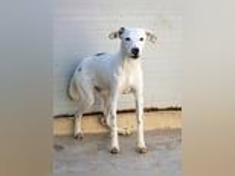 Markus- Ich möchte so gern die Welt kennenlernen