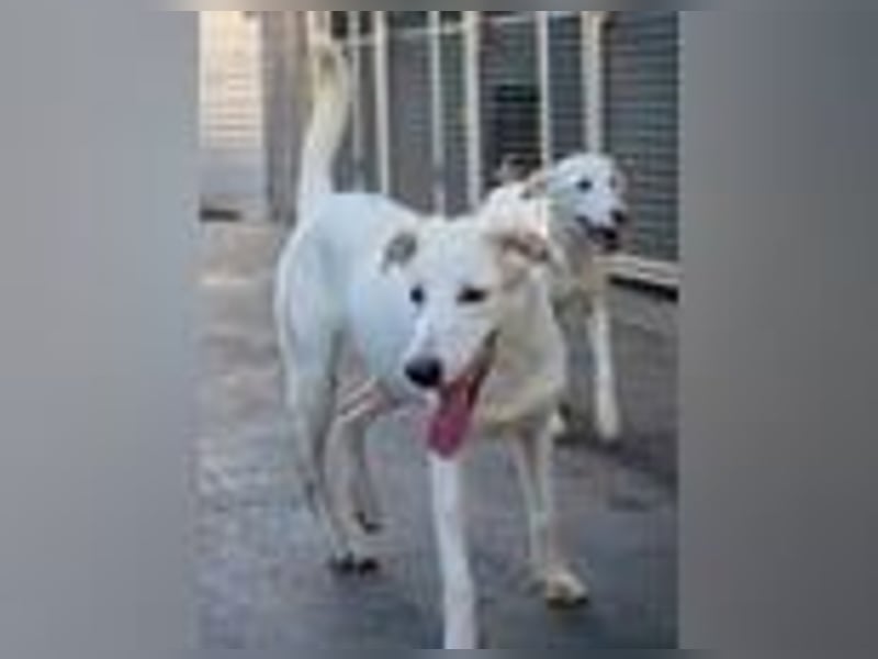 Marilia - ein Clown braucht Zeit zum Vertrauen