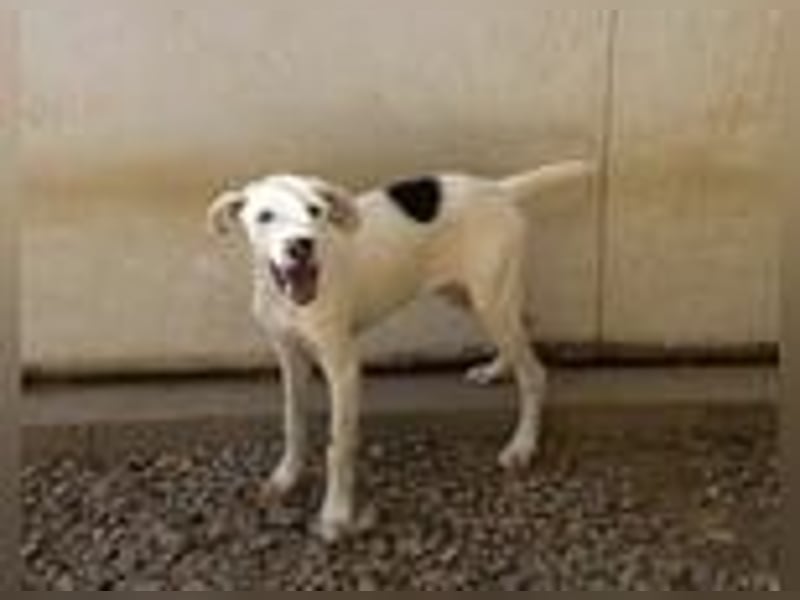 Markus- Ich möchte so gern die Welt kennenlernen