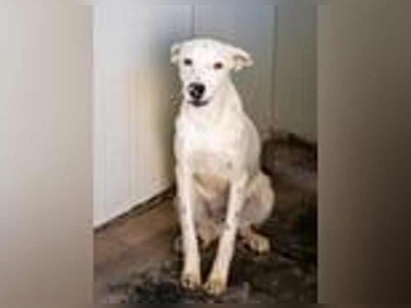 Markus- Ich möchte so gern die Welt kennenlernen