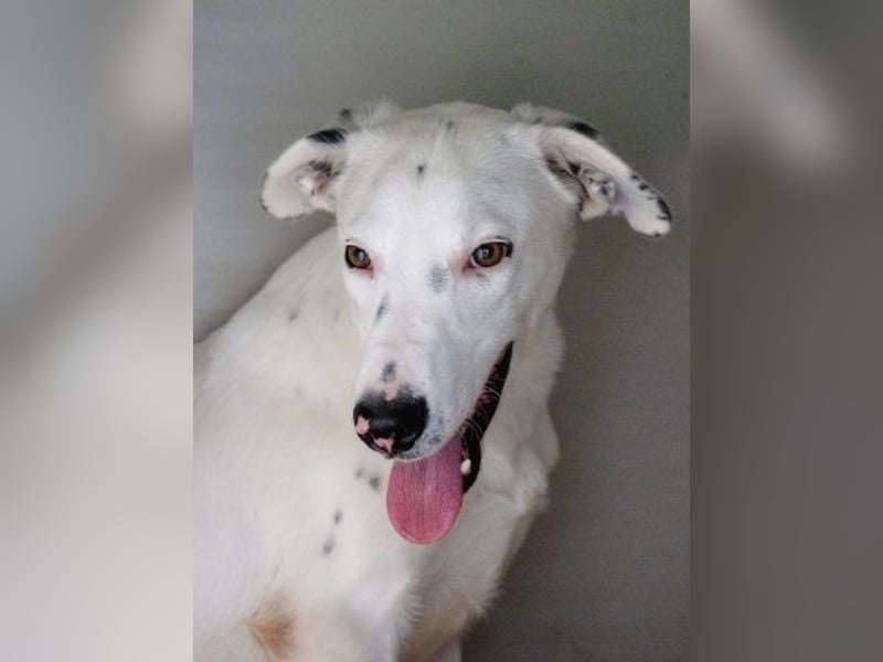 Markus- Ich möchte so gern die Welt kennenlernen