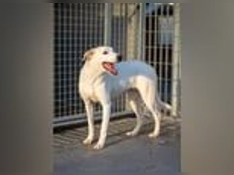 Marilia - ein Clown braucht Zeit zum Vertrauen