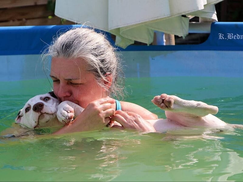LUA Dalmatiner aus dem Haus Punctum  im April 2026 in NRW