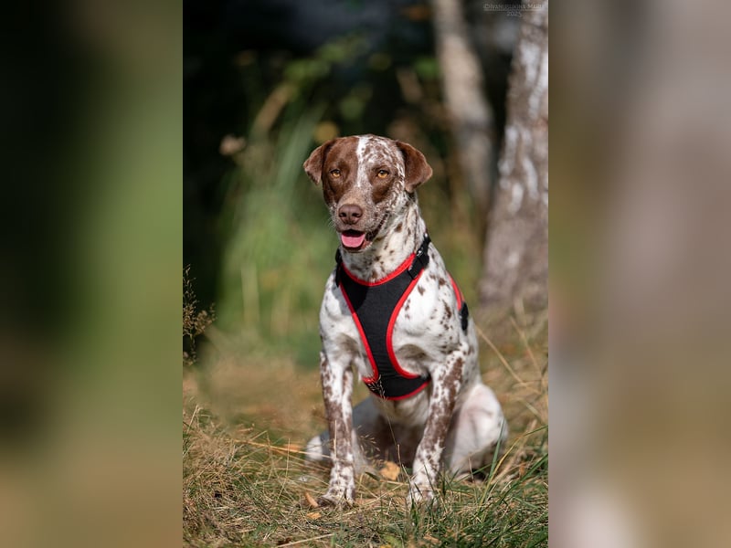 Wundervolle Kira sucht ihre Menschen