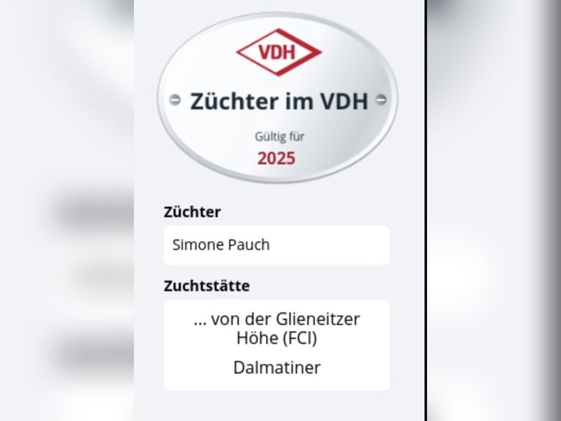 Wurfankündigung Dalmatiner von der Glieneitzer Höhe