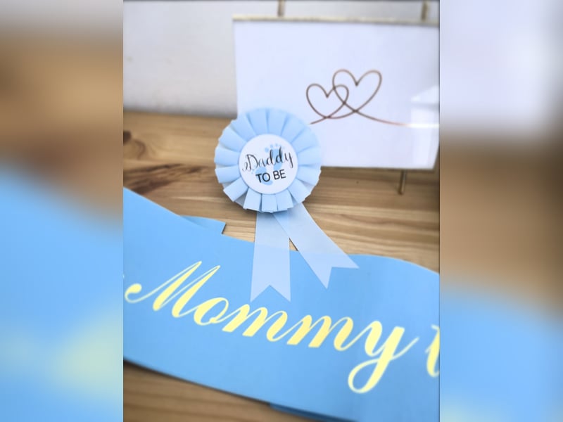 DALMATINER Welpen Geburt November 2025