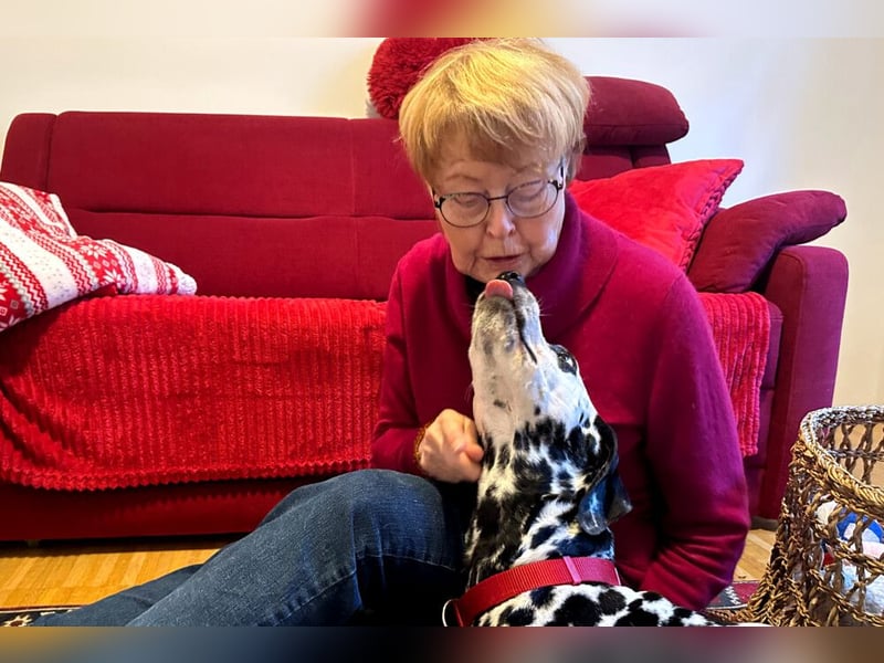 Josy Da - freundliche, gut erzogene Hündin - Tierhilfe Franken e.V.