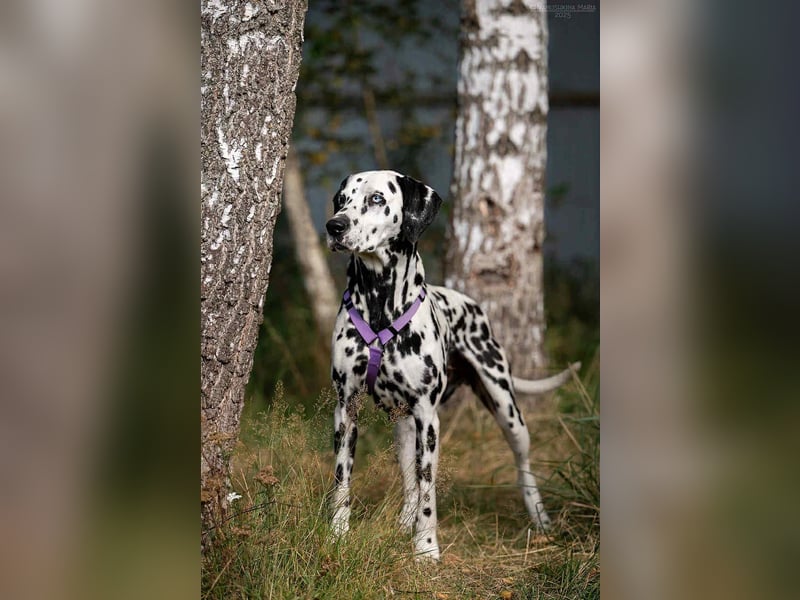 Freundliche Gloria sucht perfektes Zuhause