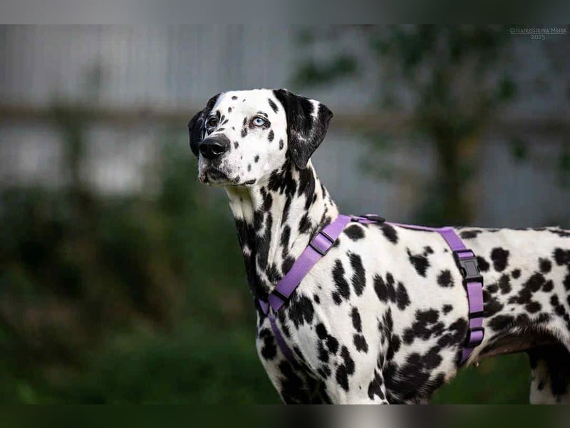 Selbstbewusste Gloria sucht ihre Familie