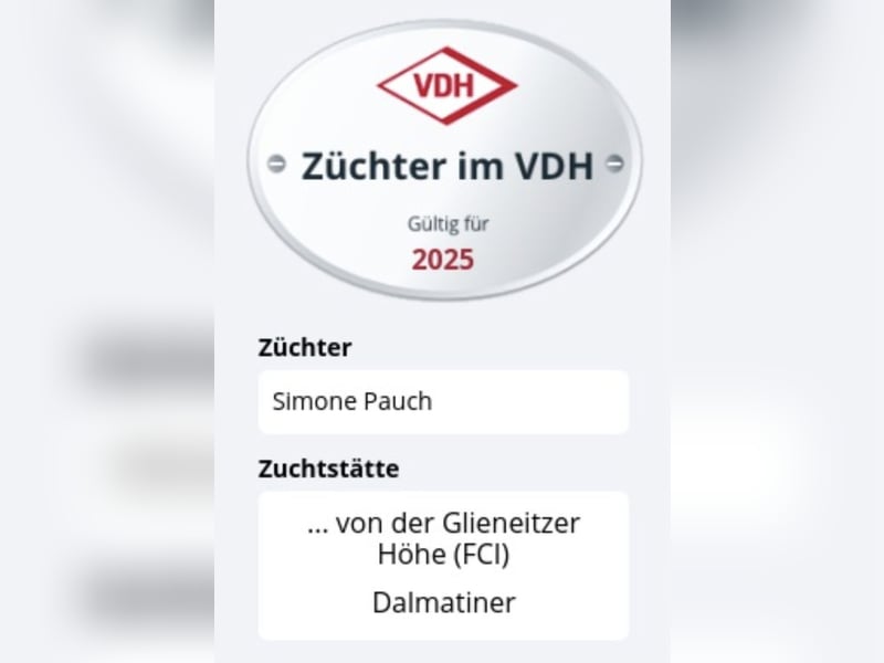 Welpen Dalmatiner von der Glieneitzer Höhe