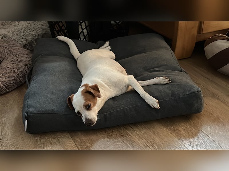 Dansky Prinzessin sucht Märchenschloss