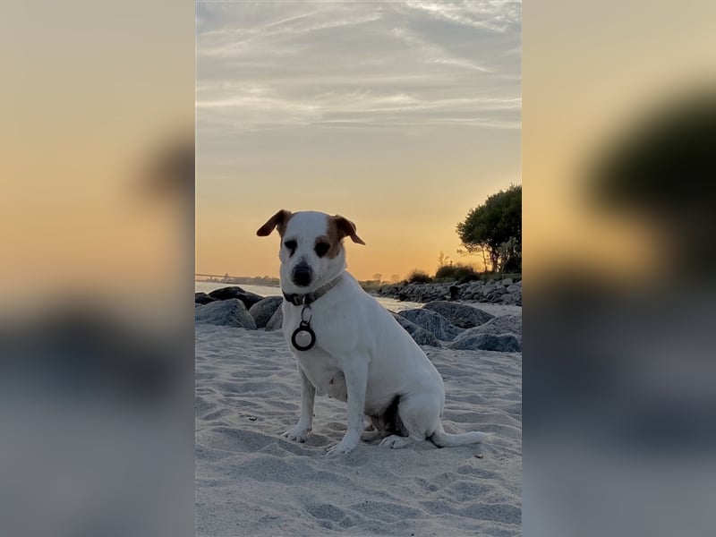 Dansky Prinzessin sucht Märchenschloss