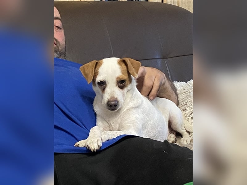Dansky Prinzessin sucht Märchenschloss