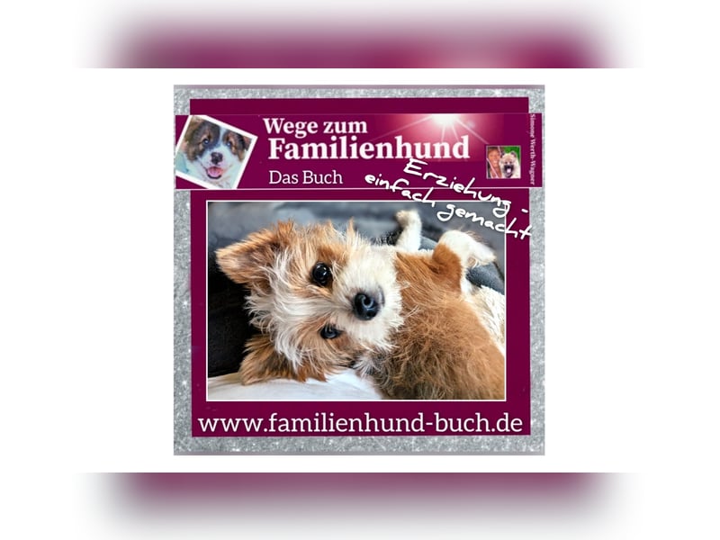 Das Buch zum Welpen: Wege zum Familienhund
