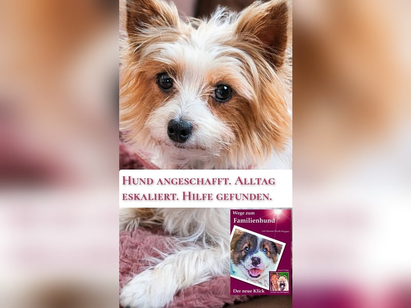 Das Buch zum Welpen: Wege zum Familienhund