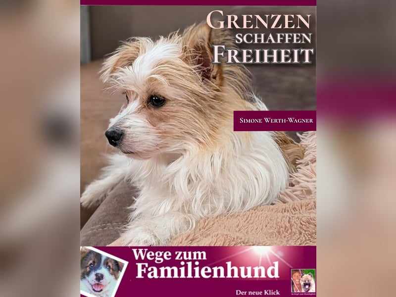 Das Buch zum Welpen: Wege zum Familienhund