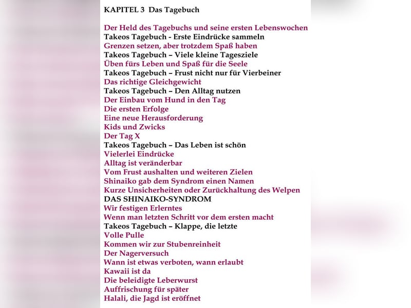 Das Buch zum Welpen: Wege zum Familienhund